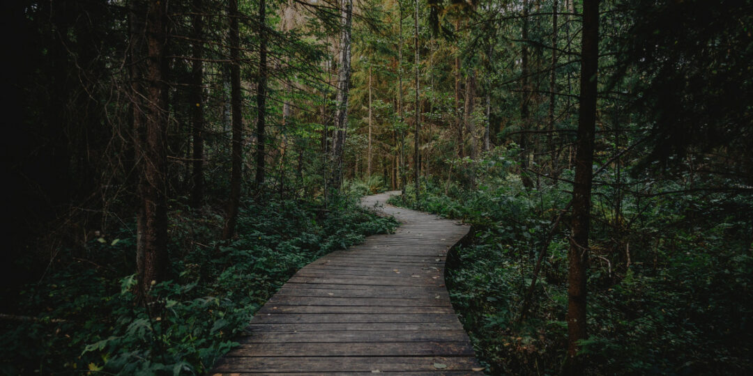 podejmowanie decyzji paraliz decyzyjny wartosci i zaangazowane dzialanie