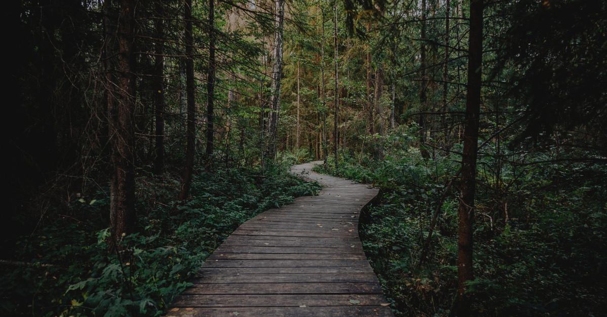 podejmowanie decyzji paraliz decyzyjny wartosci i zaangazowane dzialanie