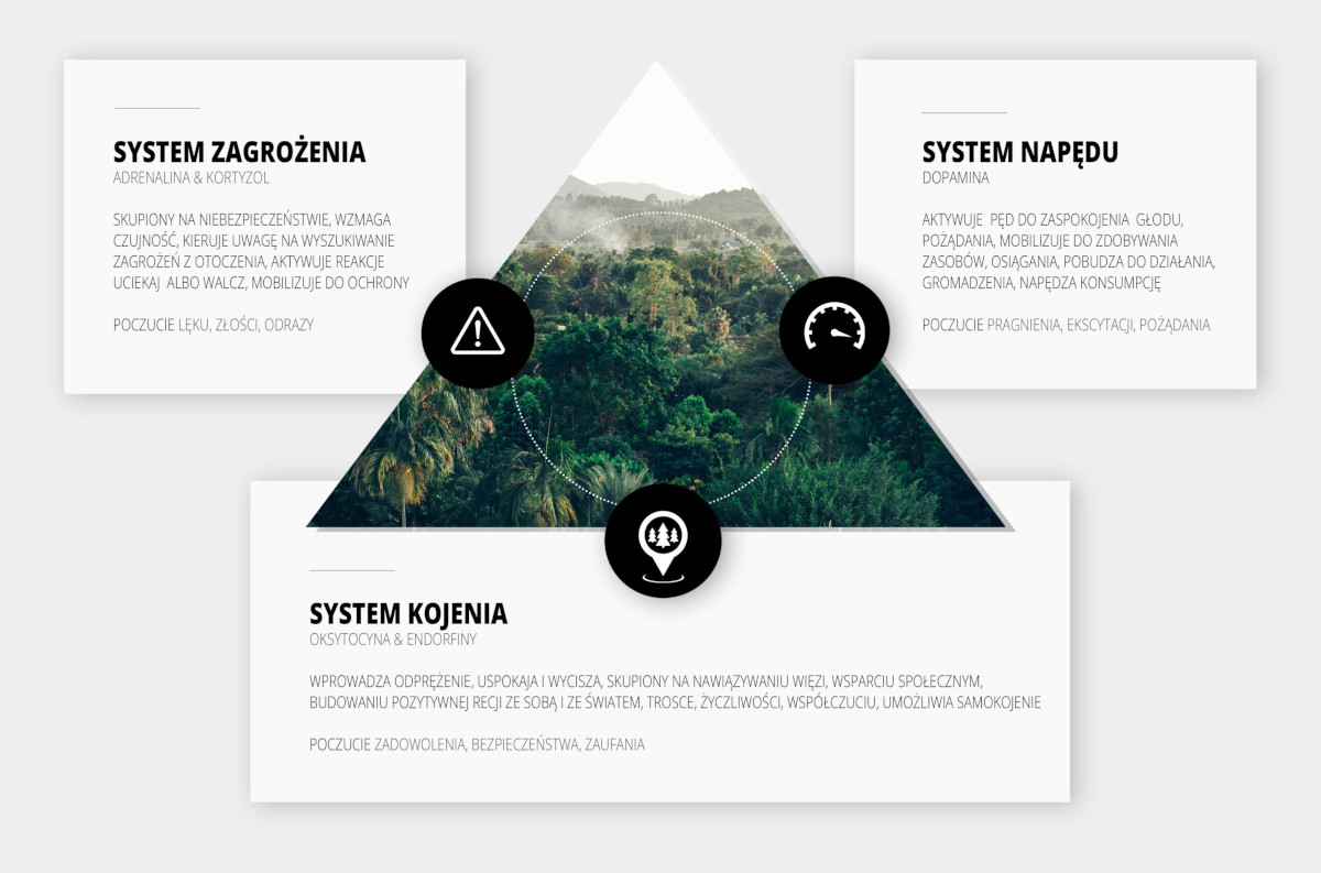 system zdobywania zagorzenia i kojenia Compassion Focused Therapy
