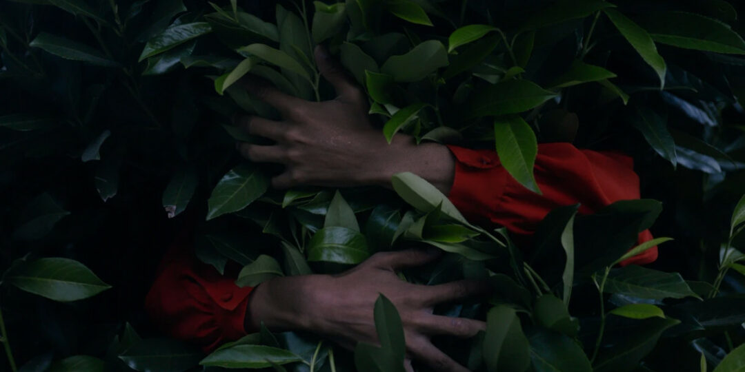 3 systemy regulacji emocji i motywacji terapia CFT