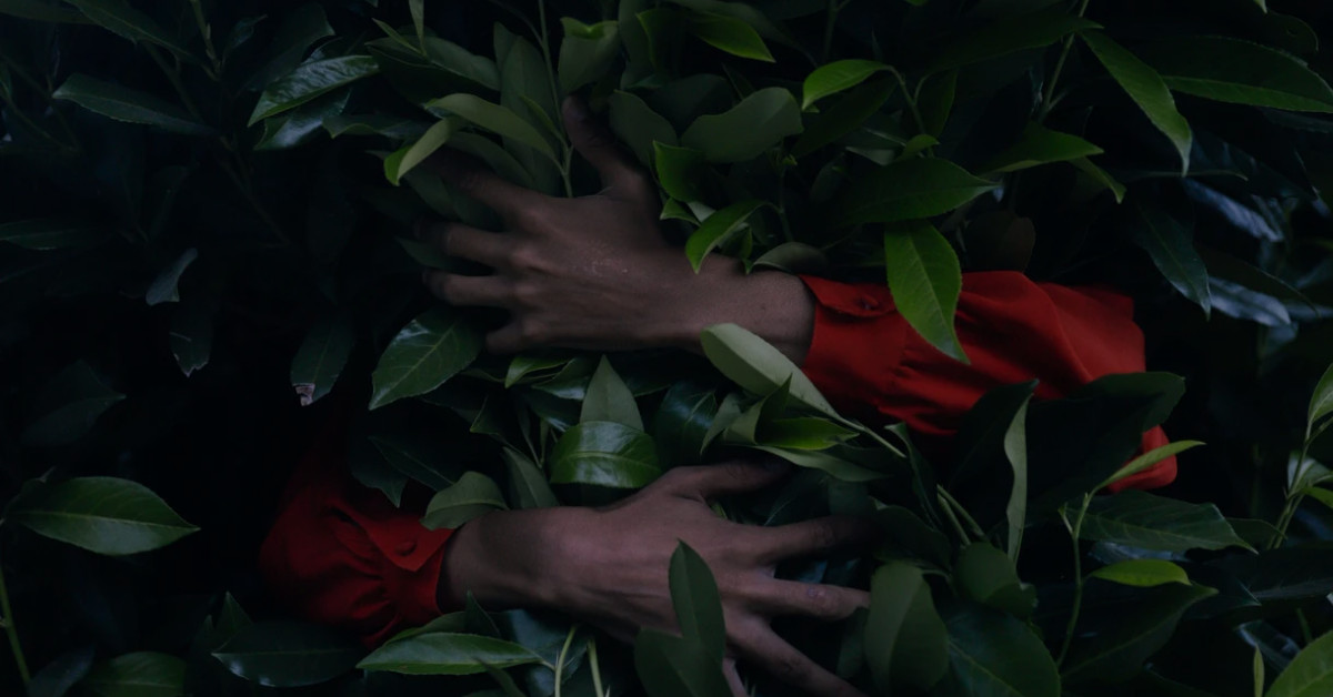 3 systemy regulacji emocji i motywacji terapia CFT