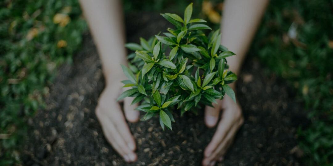 terapia-akceptacji-i-zaangazowania-online-i-stacjonarnie-w-bielsku