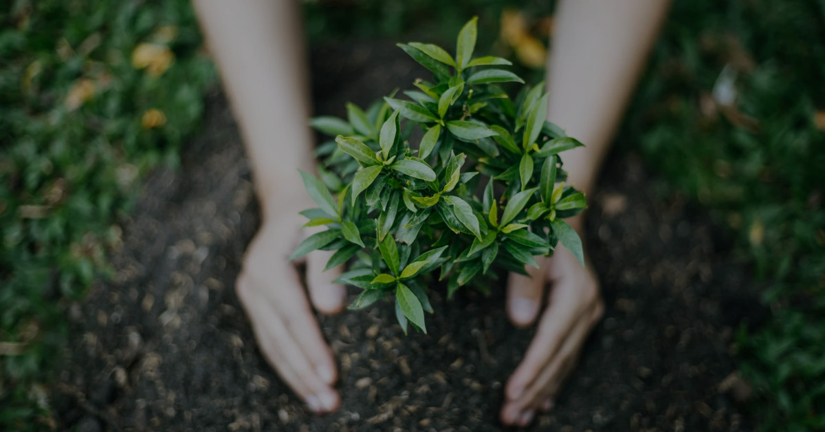 terapia-akceptacji-i-zaangazowania-online-i-stacjonarnie-w-bielsku